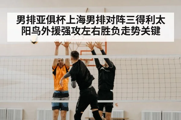 volleyball net block